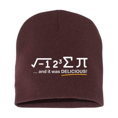 I Ate Some Pi Funny Pi Day & Math Lover Gift Short Acrylic Beanie