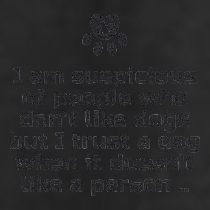 I Am Suspicious Of People Who DonT Like Dogs 7 Panel Mesh Trucker Snapback Hat
