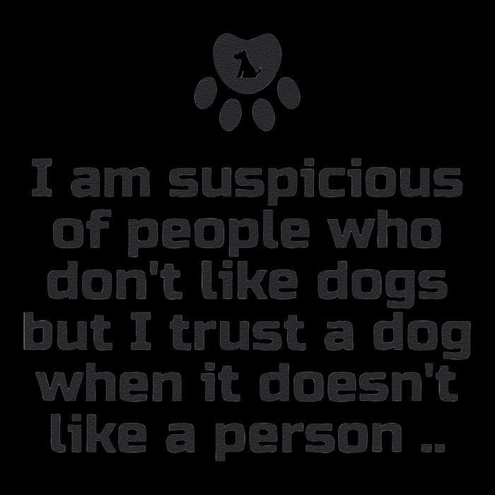 I Am Suspicious Of People Who DonT Like Dogs 16 in Basic Backpack