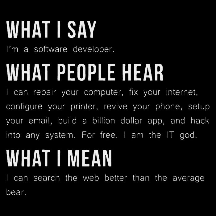 I'm A Software Developer Funny Programming Poster