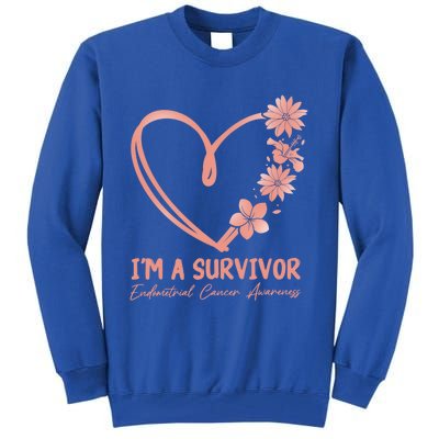 I'm A Survivor Endometrial Cancer Awareness Gift Tall Sweatshirt