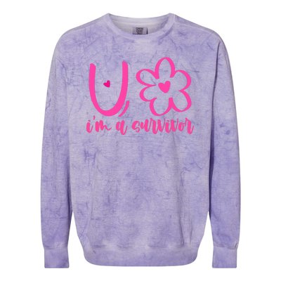 Im A Survivor Breast Cancer Awareness Month Colorblast Crewneck Sweatshirt