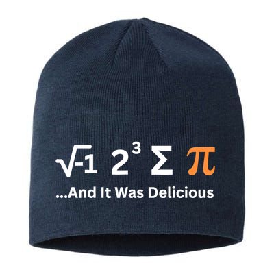 I Ate Some Pie And It Was Delicious Funny Joke Geek Pi Day Sustainable Beanie