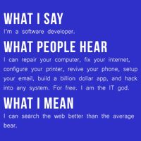 I'm A Software Developer Funny Programming Hoodie