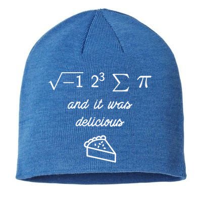 I Ate Some Pi (Pie) And It Was Delicious Happy Pi Day! Gift Sustainable Beanie