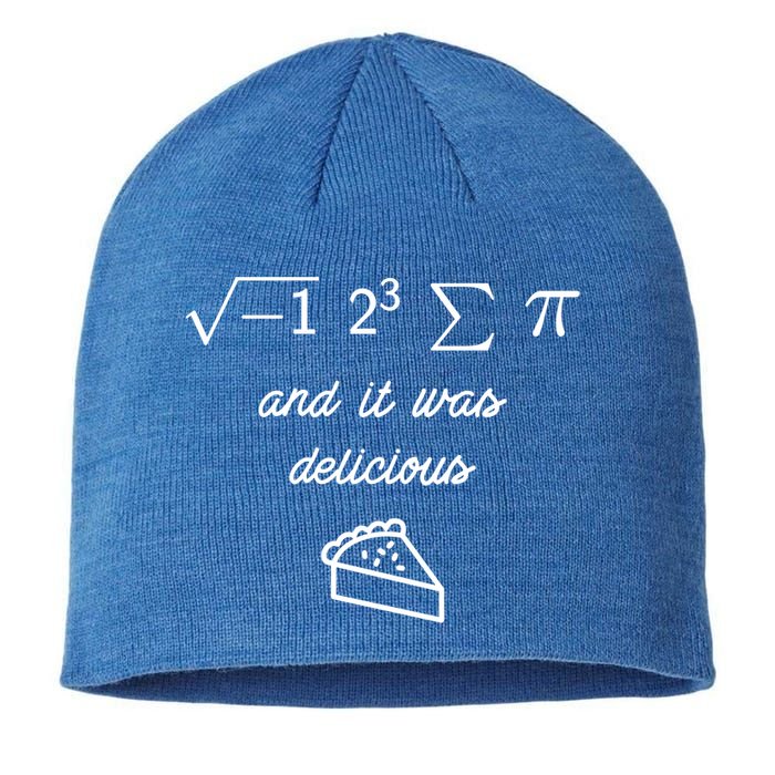 I Ate Some Pi (Pie) And It Was Delicious Happy Pi Day! Gift Sustainable Beanie