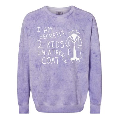 I Am Secretly 2 Kids In A Trench Coat Colorblast Crewneck Sweatshirt