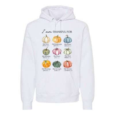 I Am Thankful For Pumpkin Bible Verse Premium Hoodie