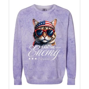 I Am The Enemy Within Cat Ladies Kamala Harris 2024 Merch Colorblast Crewneck Sweatshirt