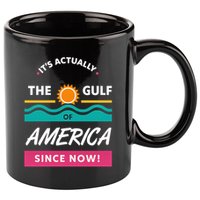 Its Actually The Gulf Of America Since Now 11oz C Handle Ceramic Mug
