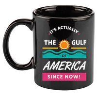 Its Actually The Gulf Of America Since Now 11oz C Handle Ceramic Mug
