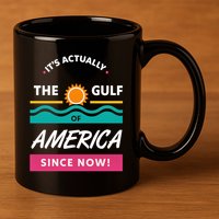 Its Actually The Gulf Of America Since Now 11oz C Handle Ceramic Mug