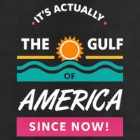 Its Actually The Gulf Of America Since Now 11oz C Handle Ceramic Mug