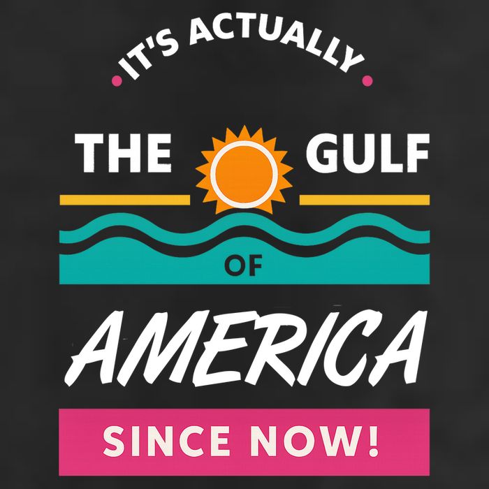 Its Actually The Gulf Of America Since Now 11oz C Handle Ceramic Mug