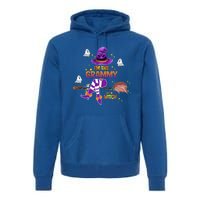 I Am The Grammy Witch Grandma Gift Premium Hoodie