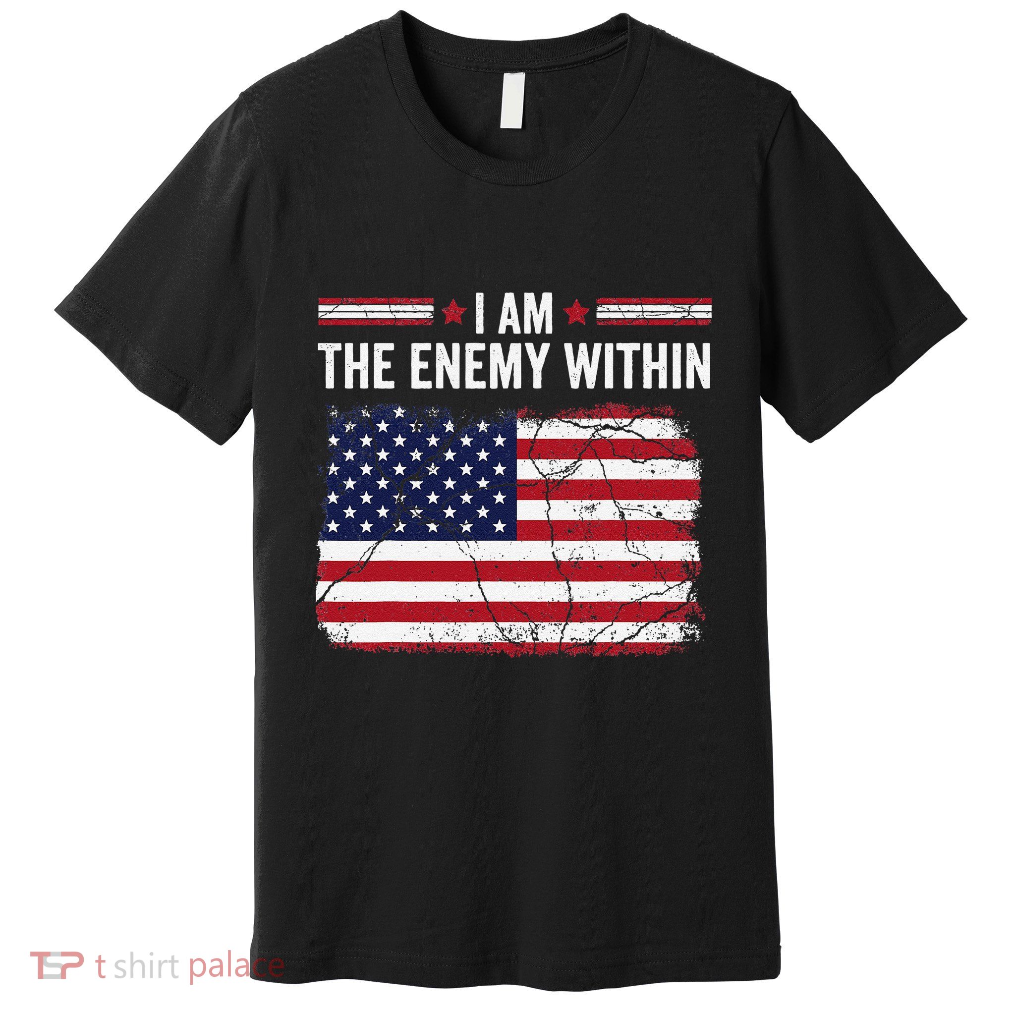 I Am The Enemy Within Funny Presidential Election 2024 Premium T-Shirt