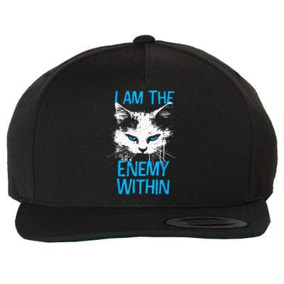 I Am The Enemy Within Kamala Harris 2024 Merch Usa Cat Face Vote Wool Snapback Cap