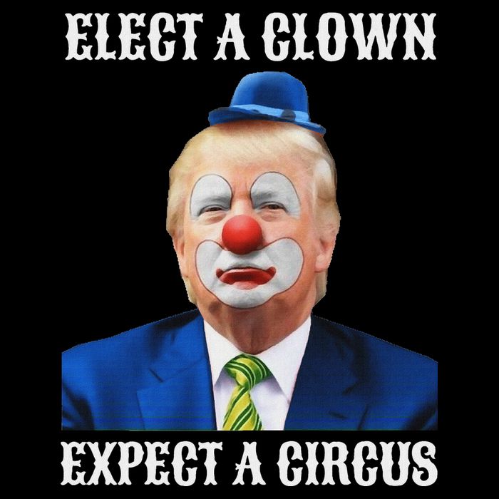 Impeach Anti Trump Elect A Clown Expect A Circus Fun Gift 16 in Basic Backpack