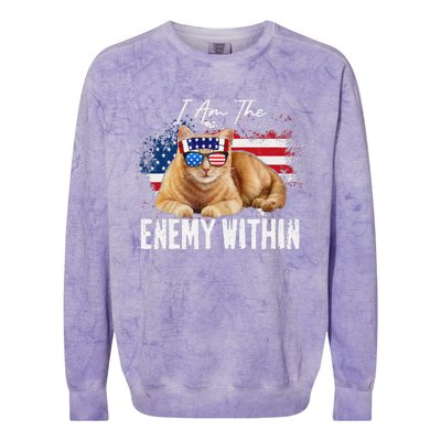 I Am The Enemy Within Pun Kamala Harris Cat Us Glasses 2024 Colorblast Crewneck Sweatshirt