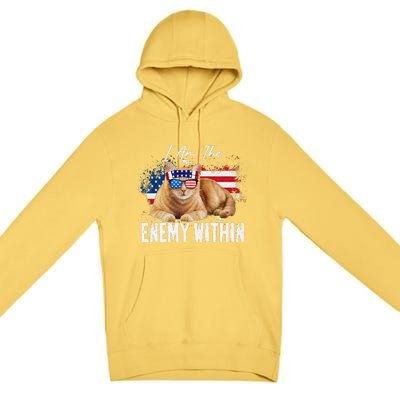 I Am The Enemy Within Pun Kamala Harris Cat Us Glasses 2024 Premium Pullover Hoodie