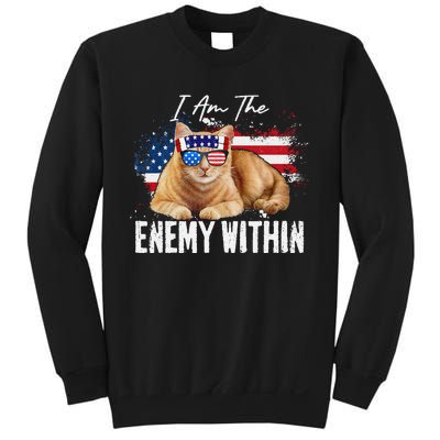 I Am The Enemy Within Pun Kamala Harris Cat Us Glasses 2024 Sweatshirt