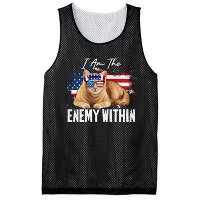 I Am The Enemy Within Pun Kamala Harris Cat Us Glasses 2024 Mesh Reversible Basketball Jersey Tank