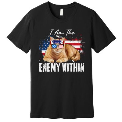 I Am The Enemy Within Pun Kamala Harris Cat Us Glasses 2024 Premium T-Shirt