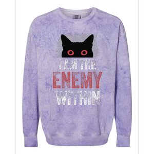 I Am The Enemy Within Pun Cat Owners Colorblast Crewneck Sweatshirt