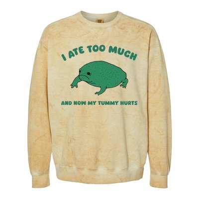 I Ate Too Much And My Tummy Hurts Colorblast Crewneck Sweatshirt