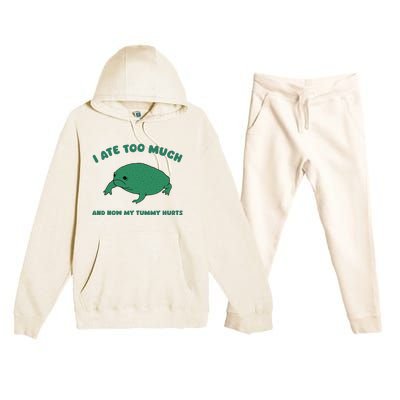 I Ate Too Much And My Tummy Hurts Premium Hooded Sweatsuit Set