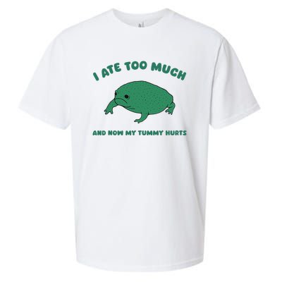 I Ate Too Much And My Tummy Hurts Sueded Cloud Jersey T-Shirt