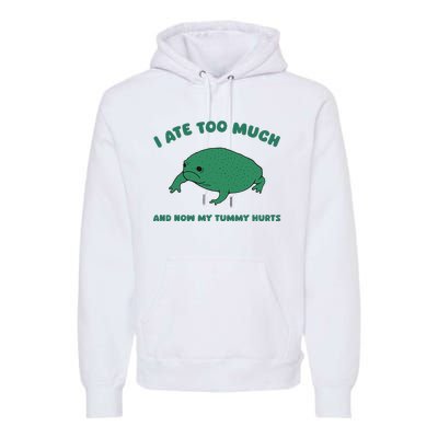 I Ate Too Much And My Tummy Hurts Premium Hoodie