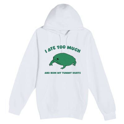 I Ate Too Much And My Tummy Hurts Premium Pullover Hoodie