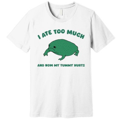 I Ate Too Much And My Tummy Hurts Premium T-Shirt