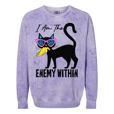 I Am The Enemy Within Pun Kamala Harris Cat Us Glasses 2024 Colorblast Crewneck Sweatshirt