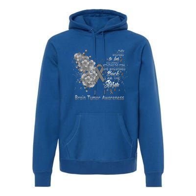 I Am The Storm Brain Tumor Awareness Butterfly Funny Gift Premium Hoodie