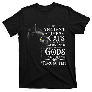 In Ancient Times Cats Were Worshipped As Gods Pet Lover T-Shirt