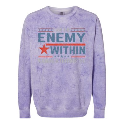 I Am The Enemy Within America Funny I Am The Enemy Within Colorblast Crewneck Sweatshirt