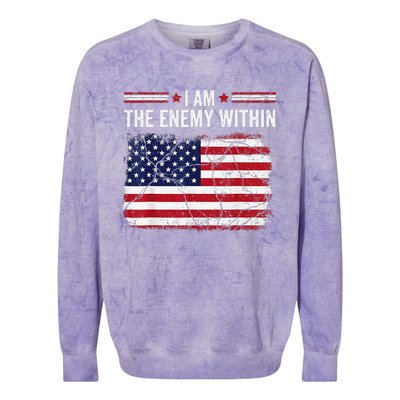 I Am The Enemy Within Funny Presidential Election 2024 Colorblast Crewneck Sweatshirt