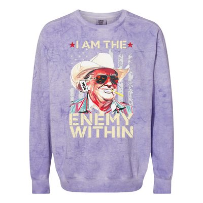 I Am The Enemy Within Funny Trump Cowboy Election Vote 2024 Colorblast Crewneck Sweatshirt