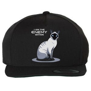 I Am The Enemy Within Wool Snapback Cap