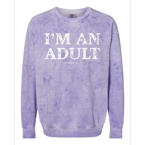 I'm An Technically Funny 18th Birthday Gift Colorblast Crewneck Sweatshirt