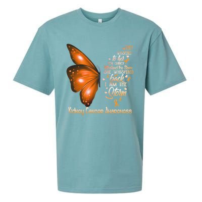 I Am The Storm Ney Cancer Awareness Butterfly Gift Sueded Cloud Jersey T-Shirt