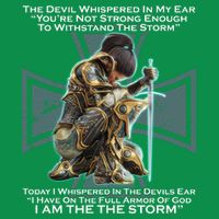 I Am The Storm Female Knight Warrioress T-Shirt