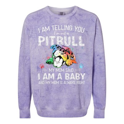 I Am Telling You I'm Not A Pitbull Dog Owners Gifts Colorblast Crewneck Sweatshirt