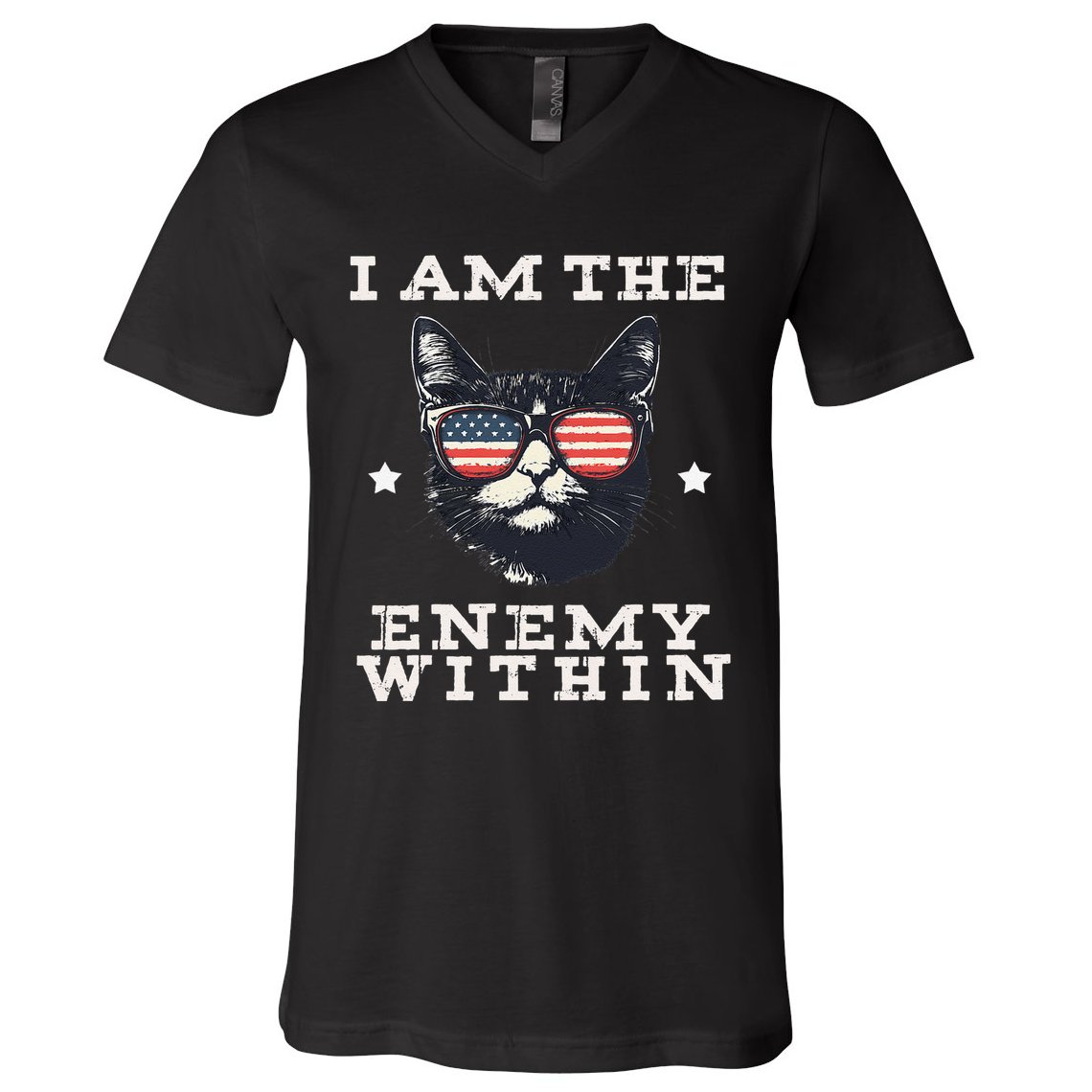 I Am The Enemy Within American Cat V-Neck T-Shirt