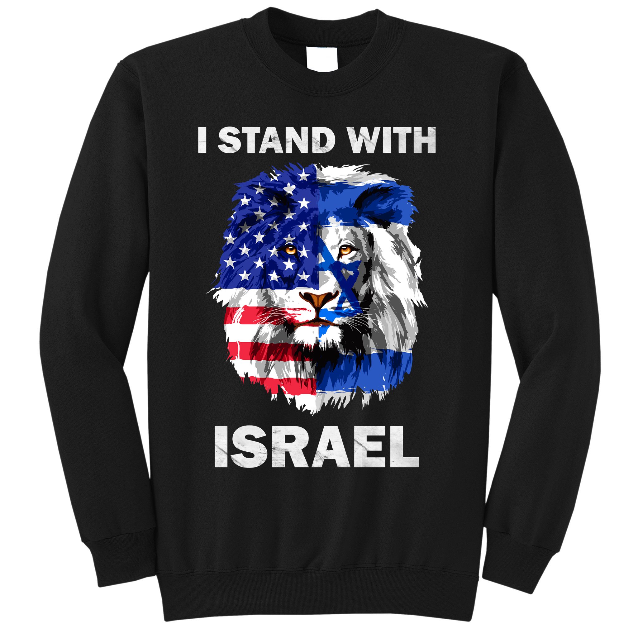 Israel And Usa Flag Lion | I Stand With Israel Sweatshirt