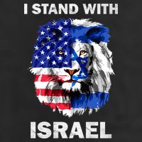 Israel And Usa Flag Lion | I Stand With Israel Adult Drive Performance Visor