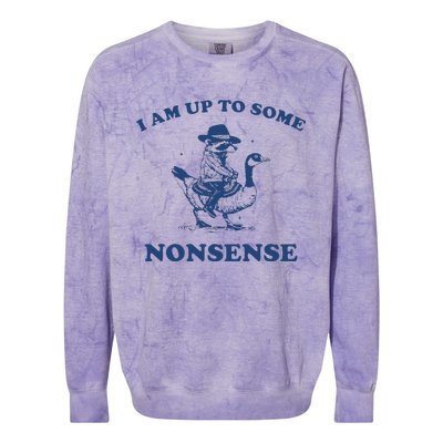 I Am Up To Some Nonsense Funny Goose Raccoon Sarcasm Saying Colorblast Crewneck Sweatshirt