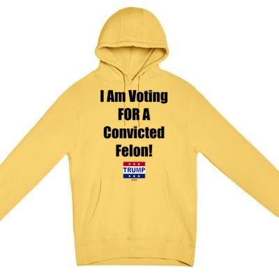 I Am Voting For A Convicted Felon Trump 2024 Premium Pullover Hoodie